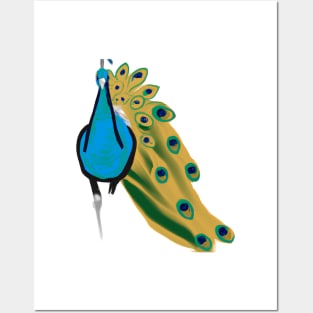 Cute Peacock Drawing Posters and Art